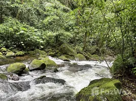 Terrain à vendre à San Carlos, Alajuela, San Carlos, Alajuela, Costa Rica