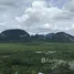  Land for sale in Takua Thung Phangnga, Khlong Khian, Takua Thung, Phangnga