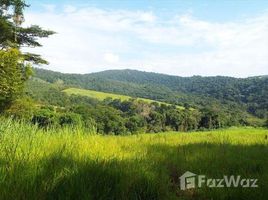 在Boa Vista出售的 土地, Sao Caetano Do Sul, Sao Caetano Do Sul