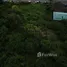 在普吉大佛, 卡隆出售的 土地, 卡隆