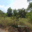  Land for sale in Chiang Rak Noi, Sam Khok, Chiang Rak Noi