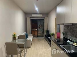 1 Bedroom Apartment for rent at Grand Parano, Tha Sala, Mueang Chiang Mai, Chiang Mai