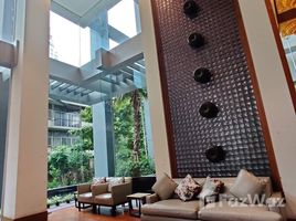 อพาร์ทเม้นท์ 1 ห้องนอน ให้เช่า ในโครงการ เซอร์เคิล คอนโดมิเนียม, มักกะสัน, ราชเทวี