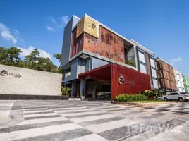 54 chambre Hotel for sale in Phuket, Ko Kaeo, Phuket Town, Phuket