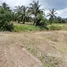  Terreno (Parcela) en venta en Tailandia, Bang Muang, Takua Pa, Phangnga, Tailandia