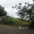  Terrain for sale in Rio Grande do Sul, Sapiranga, Sapiranga, Rio Grande do Sul