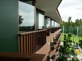 Studio Wohnung zu verkaufen im Wing Samui Condo, Bo Phut