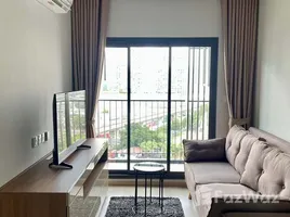 คอนโด 1 ห้องนอน ให้เช่า ในโครงการ ไลฟ์ ลาดพร้าว, จอมพล