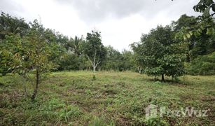 N/A Land for sale in Pong Nam Ron, Chanthaburi 