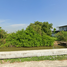  Terrain for sale in Mueang Pathum Thani, Pathum Thani, Bang Khu Wat, Mueang Pathum Thani