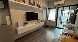 ยูนิตมือสองและให้เช่า