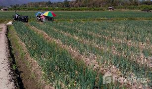 N/A Grundstück zu verkaufen in Thung Pi, Chiang Mai 