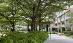 图片 3 of the 公共花园区 at Lumpini Place Ratchayothin
