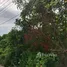  Land for sale in Mueang Phetchaburi Phetchaburi, Ban Kum, Mueang Phetchaburi, Phetchaburi