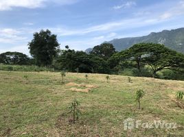  Terrain for sale in FazWaz.fr, Phaya Yen, Pak Chong, Nakhon Ratchasima, Thaïlande