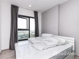 คอนโด 1 ห้องนอน ให้เช่า ในโครงการ เดอะ เบส เพชรเกษม, บางหว้า