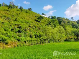  Terrain for sale in Lombok Tengah, West Nusa Tenggara, Praya Barat, Lombok Tengah