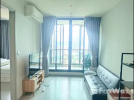 1 Schlafzimmer Wohnung zu verkaufen im Life Sukhumvit 62, Bang Chak, Phra Khanong, Bangkok, Thailand