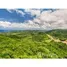  Land for sale in Mexico, Compostela, Nayarit, Mexico