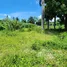 Terrain à vendre à San Felipe De Puerto Plata, Puerto Plata, San Felipe De Puerto Plata, Puerto Plata, République dominicaine