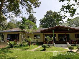 4 Bedroom House for rent in Mueang Chiang Rai, Chiang Rai, Pa O Don Chai, Mueang Chiang Rai