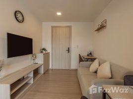 อพาร์ทเม้นท์ สตูดิโอ ให้เช่า ในโครงการ ดีคอนโด รีฟ ภูเก็ต, กะทู้, กะทู้