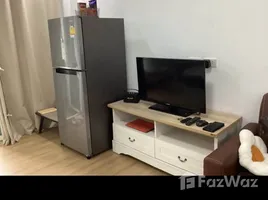 คอนโด 1 ห้องนอน ให้เช่า ในโครงการ ป่าตอง คอนโดเทล, ป่าตอง, กะทู้, ภูเก็ต