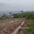  Land for sale in Eastern, Akwapim South, Eastern