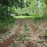  Land for sale in Laem Ngop Trat, Laem Ngop, Laem Ngop, Trat