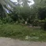 リパノイ, サムイ島 で売却中 土地区画, リパノイ