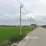  Land for sale in Sai Noi, Nonthaburi, Sai Yai, Sai Noi
