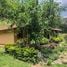 2 Bedroom House for sale in Loja, Vilcabamba Victoria, Loja, Loja