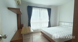 ยูนิตมือสองและให้เช่า