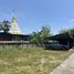 ขายที่ดิน ใน ศรีภูมิ, เชียงใหม่, ศรีภูมิ