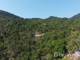 ขายที่ดิน ใน บ้านใต้, สุราษฎร์ธานี, บ้านใต้, เกาะพะงัน, สุราษฎร์ธานี