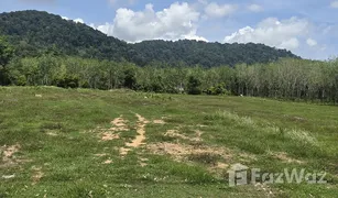 N/A Grundstück zu verkaufen in Pa Khlok, Phuket 