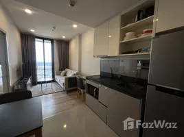 คอนโด 1 ห้องนอน ให้เช่า ในโครงการ โอกะ เฮาส์, คลองตัน