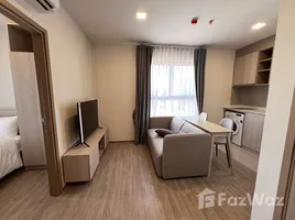 2 Bedroom Condo for rent at NIA By Sansiri, Phra Khanong Nuea, Watthana, Bangkok