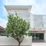 3 chambre Maison for sale in Mueang Chiang Mai, Chiang Mai, Pa Daet, Mueang Chiang Mai
