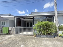 บ้านเดี่ยว 2 ห้องนอน ให้เช่า ในโครงการ เดอะริช วิลล่า นาบอน, ฉลอง, เมืองภูเก็ต, ภูเก็ต