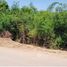  Land for sale in Mueang Lamphun, Lamphun, Si Bua Ban, Mueang Lamphun