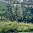  Terreno (Parcela) en venta en Costa Rica, La Cruz, Guanacaste, Costa Rica