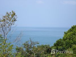 甲米 Ko Lanta Yai Ocean Front Land in Ko Lanta N/A 土地 售 