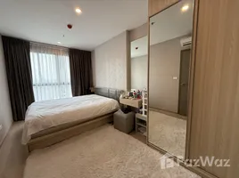 1 chambre Condominium à vendre à Ideo O2., Bang Na, Bang Na, Bangkok