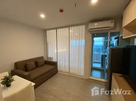 คอนโด 1 ห้องนอน ให้เช่า ในโครงการ รีเจ้นท์ โฮม บางนา, บางนา, บางนา