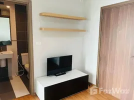 1 спален Кондо в аренду в The Base Sukhumvit 77, Phra Khanong Nuea, Щаттхана, Бангкок, Таиланд