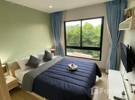 อพาร์ทเม้นท์ 1 ห้องนอน ให้เช่า ในโครงการ แฮปปี้ี้ เพลส คอนโด, สาคู