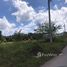 Land for sale in Surat Thani, Makham Tia, Mueang Surat Thani, Surat Thani