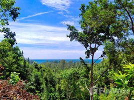 苏梅岛 Ko Pha-Ngan Beautiful Coastline Sea and Mountain View Land for Sale in Ko Pha-Ngan N/A 土地 售 