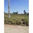  Land for sale in Taquara, Rio Grande do Sul, Fazenda Fialho, Taquara